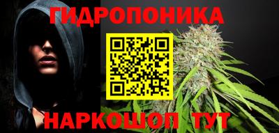 крисы Нягань