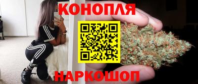 крисы Нягань