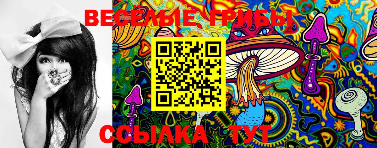 Галлюциногенные грибы MAGIC MUSHROOMS  Вход с VPN  Псилоцибиновые грибы Psilocybe  Серпухов 