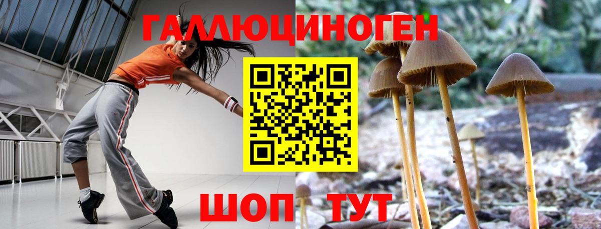 Псилоцибиновые грибы ЛСД Серпухов